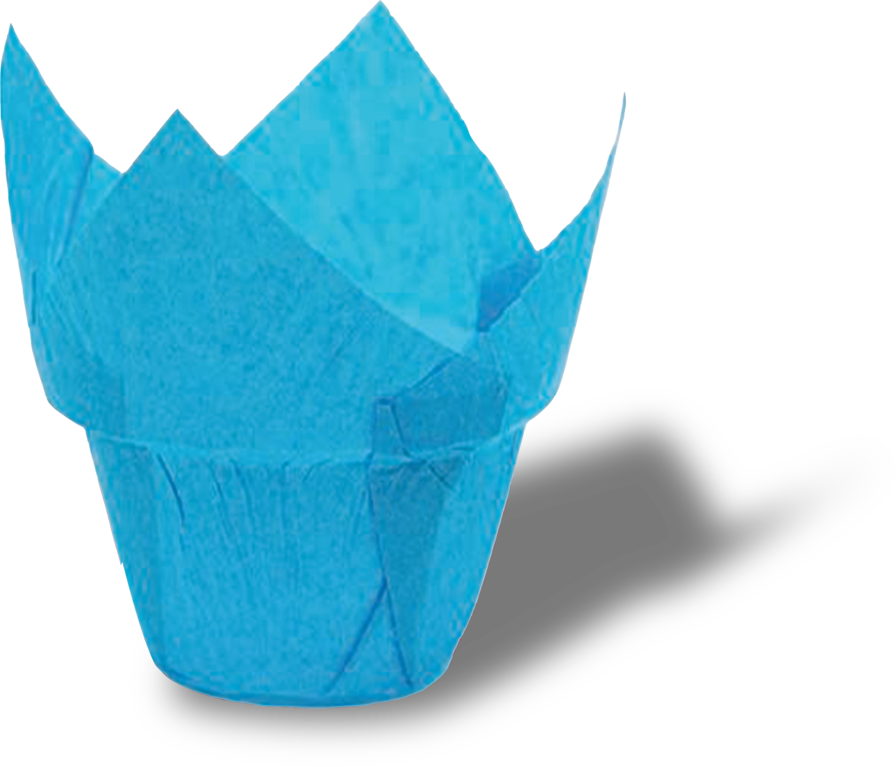 cup11