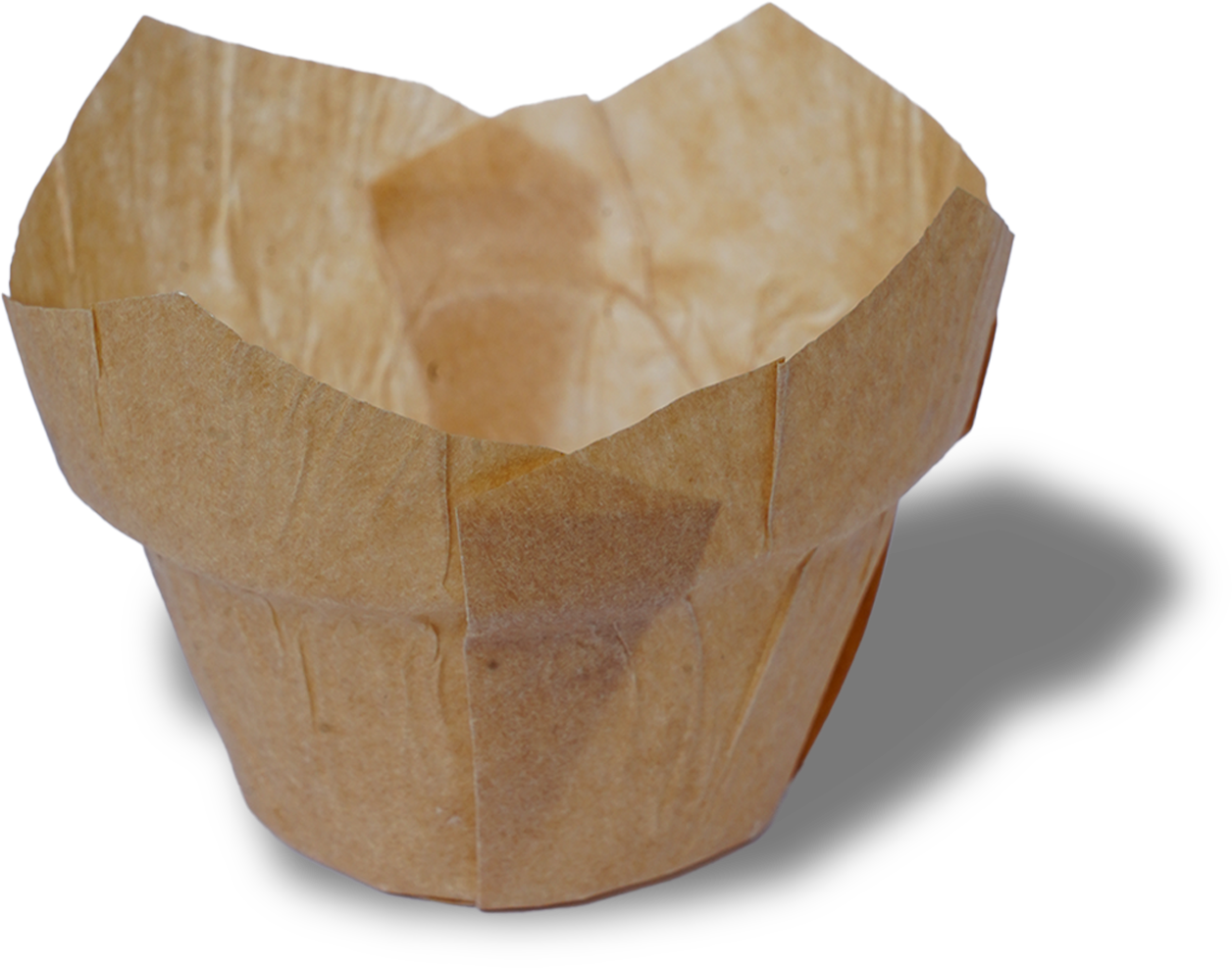 cup6